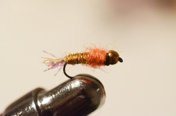 Bild in voller Grsse ffnen --> klick!