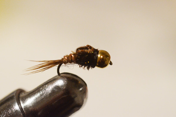 Bild in voller Grsse ffnen --> klick!