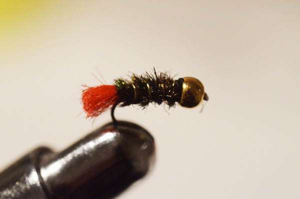 Bild in voller Grsse ffnen --> klick!