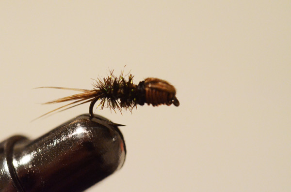 Bild in voller Grsse ffnen --> klick!