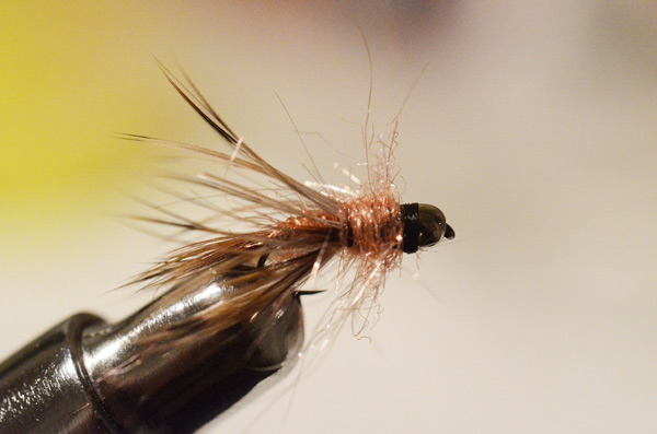 Bild in voller Grsse ffnen --> klick!