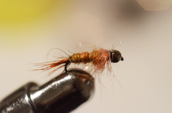 Bild in voller Grsse ffnen --> klick!