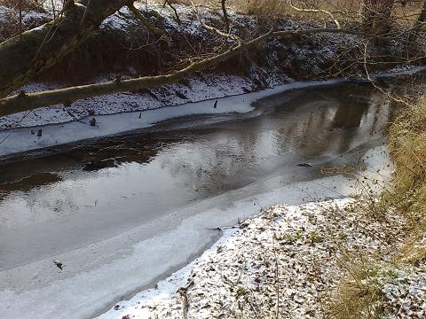 Bild in voller Grsse ffnen --> klick!