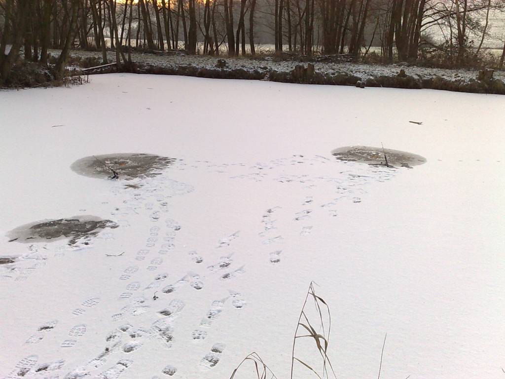 Bild in voller Grsse ffnen --> klick!