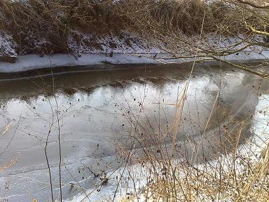 Bild in voller Grsse ffnen --> klick!