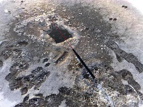 Bild in voller Grsse ffnen --> klick!