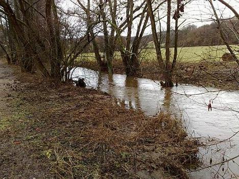 Bild in voller Grsse ffnen --> klick!