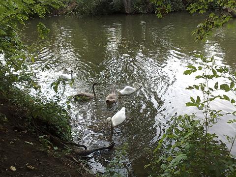 Bild in voller Grsse ffnen --> klick!