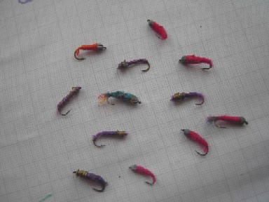 Bild in voller Grsse ffnen --> klick!